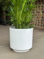 Large Decorative Pot Style 2 - White