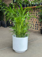 Large Decorative Pot Style 2 - White