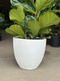 XL Decorative Pot Style 1 - White