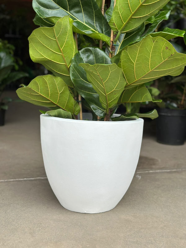 XL Decorative Pot Style 1 - White