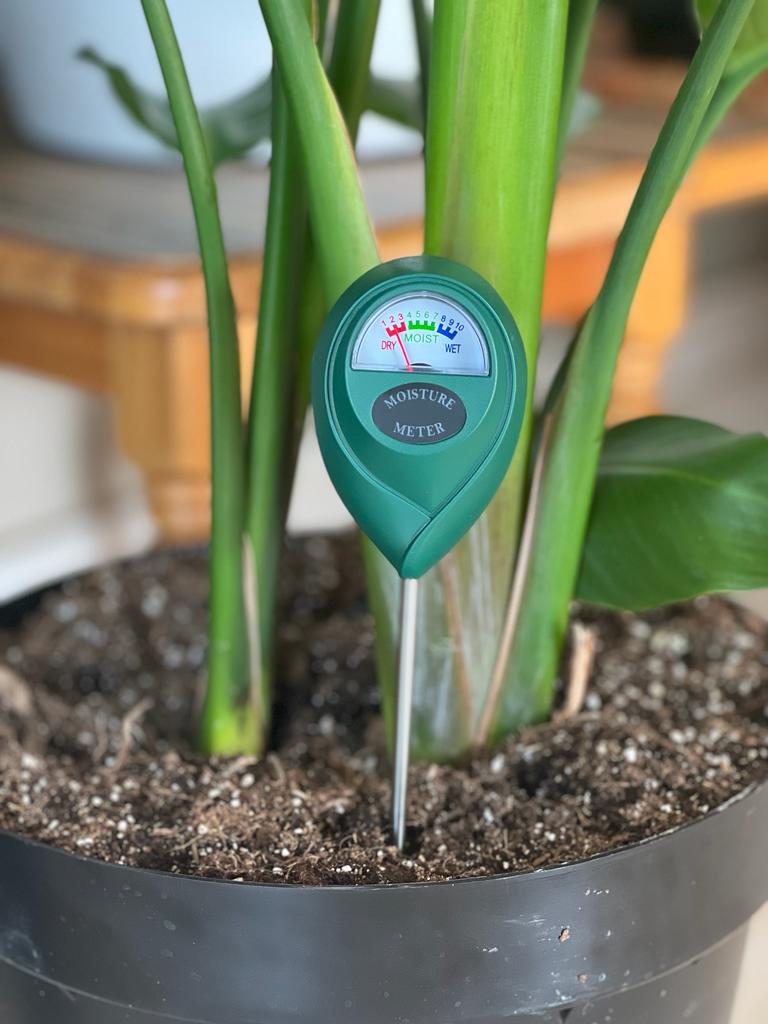 Moisture Meter - Botanical Heaven