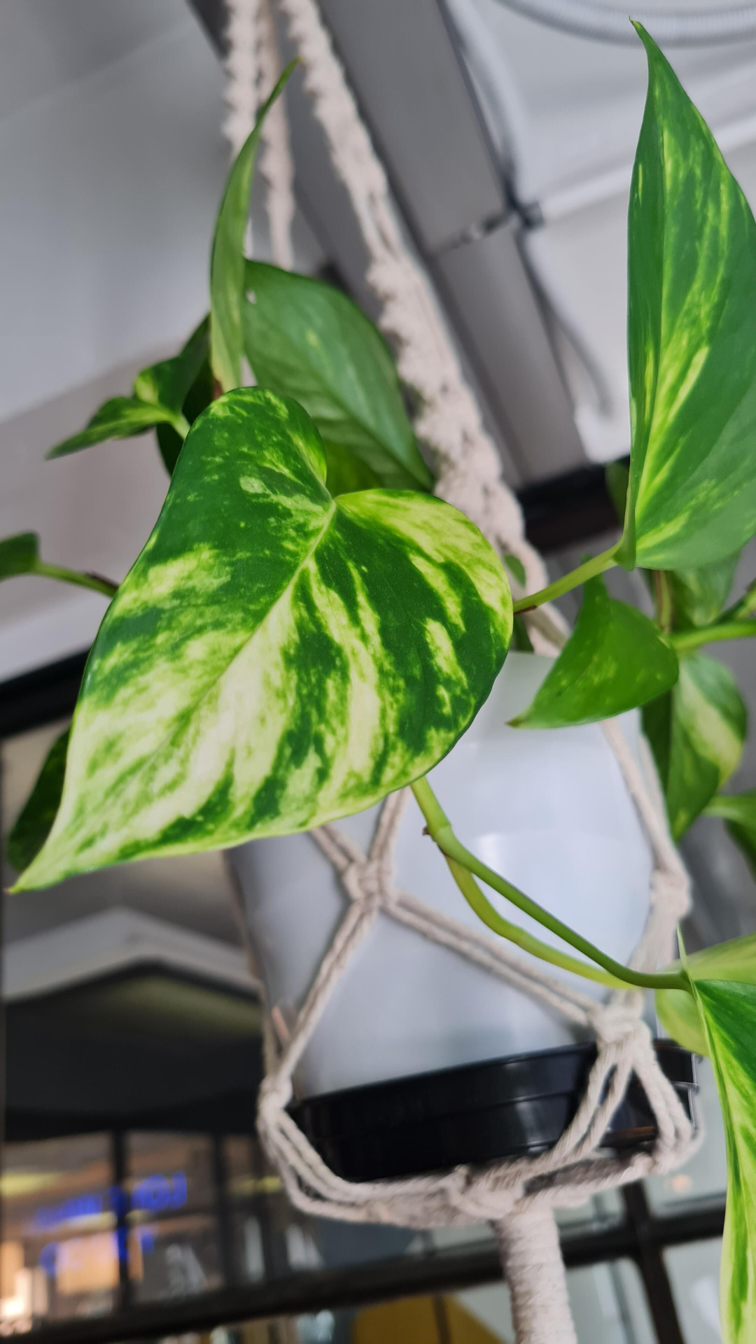 Image #2 from Mia Groenewald