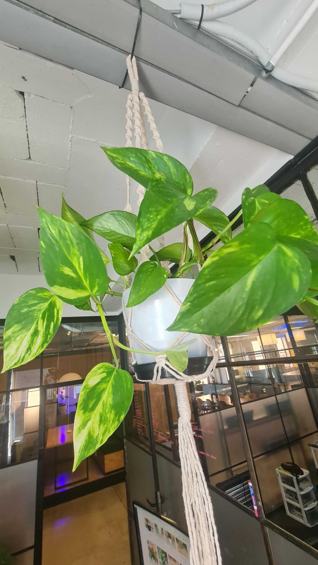 Image #3 from Mia Groenewald