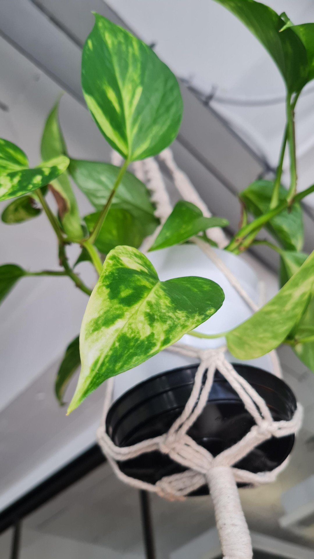 Image #1 from Mia Groenewald