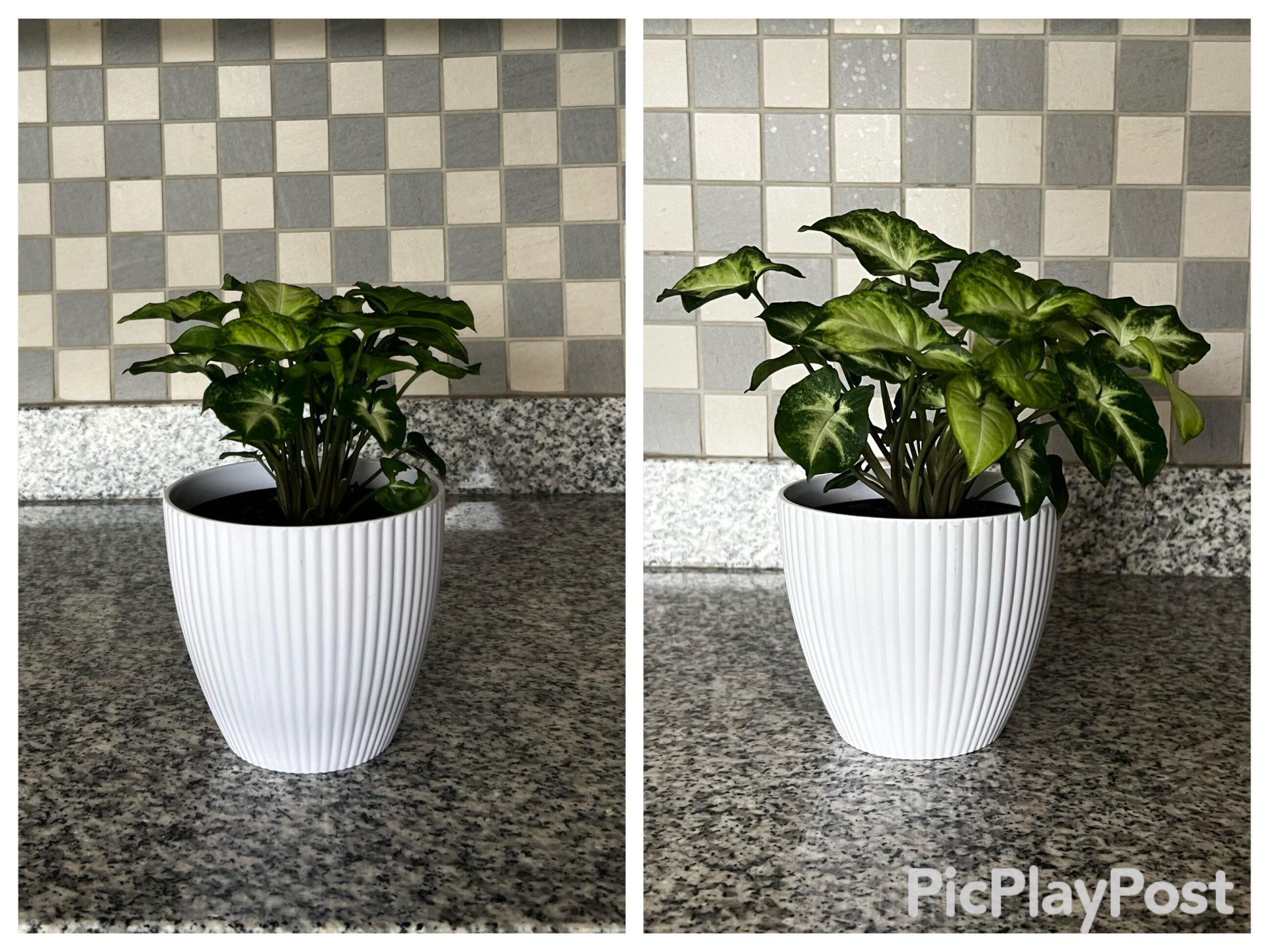 Image #1 from Sonia Brilus