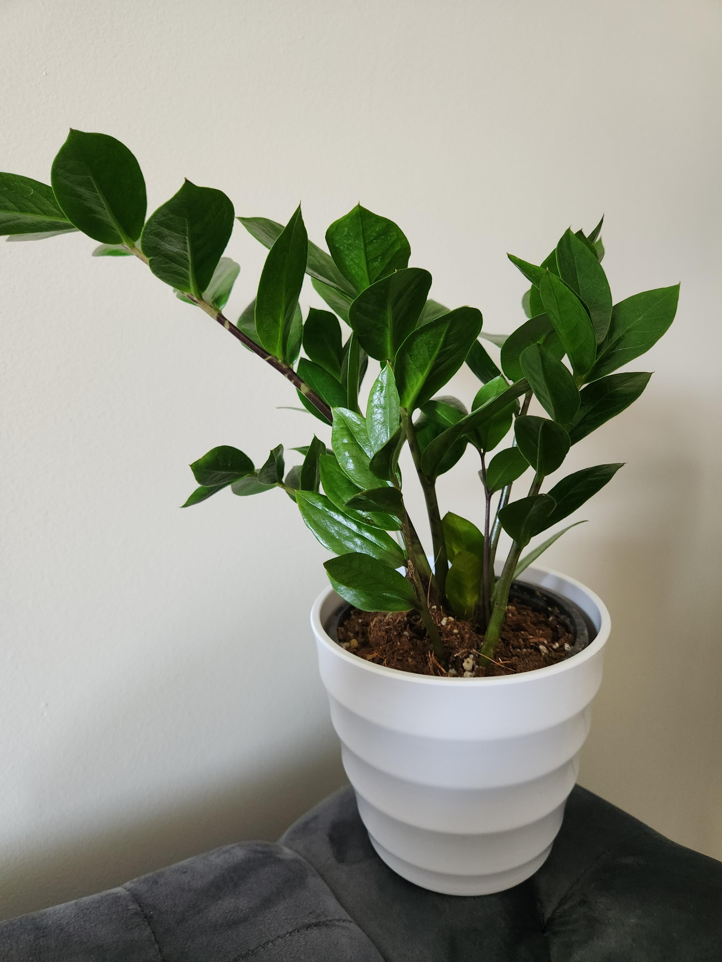 Image #1 from Michelle Milton