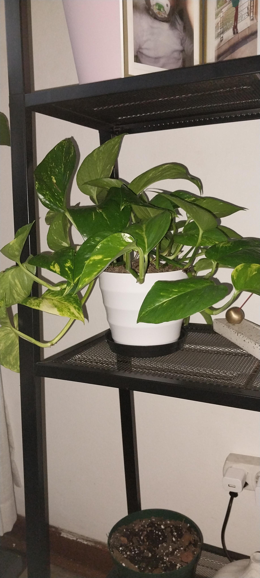 Image #2 from Thembisile Moloi