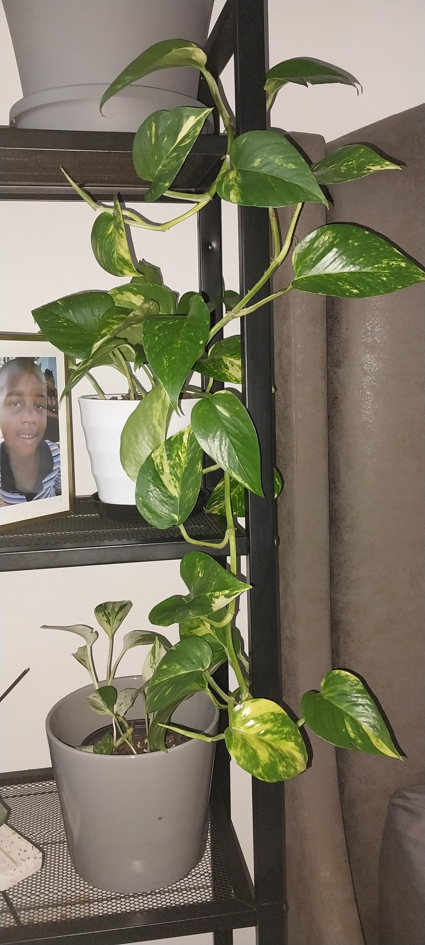 Image #1 from Thembisile Moloi