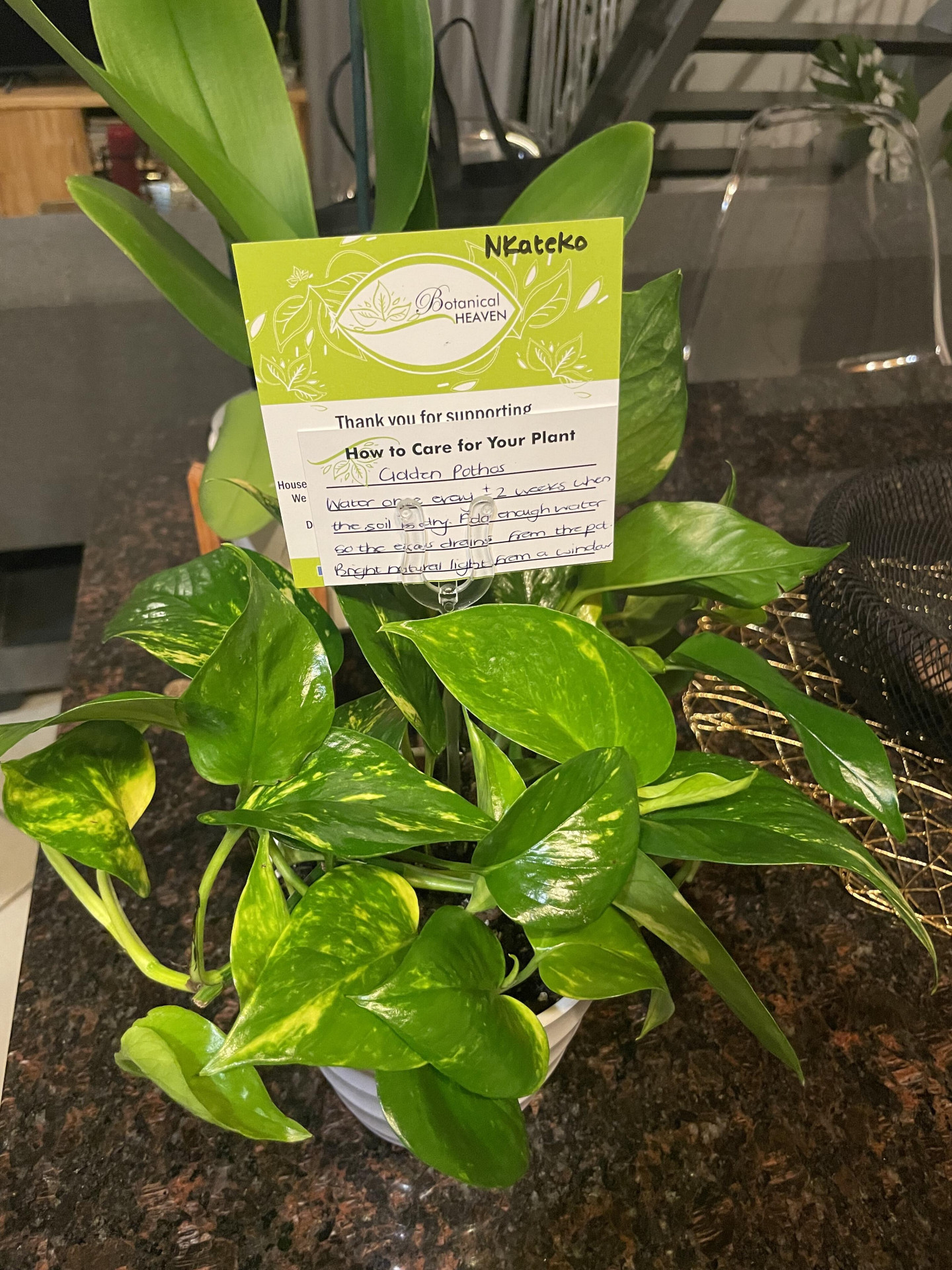 Image #1 from Nkateko Ngobeni