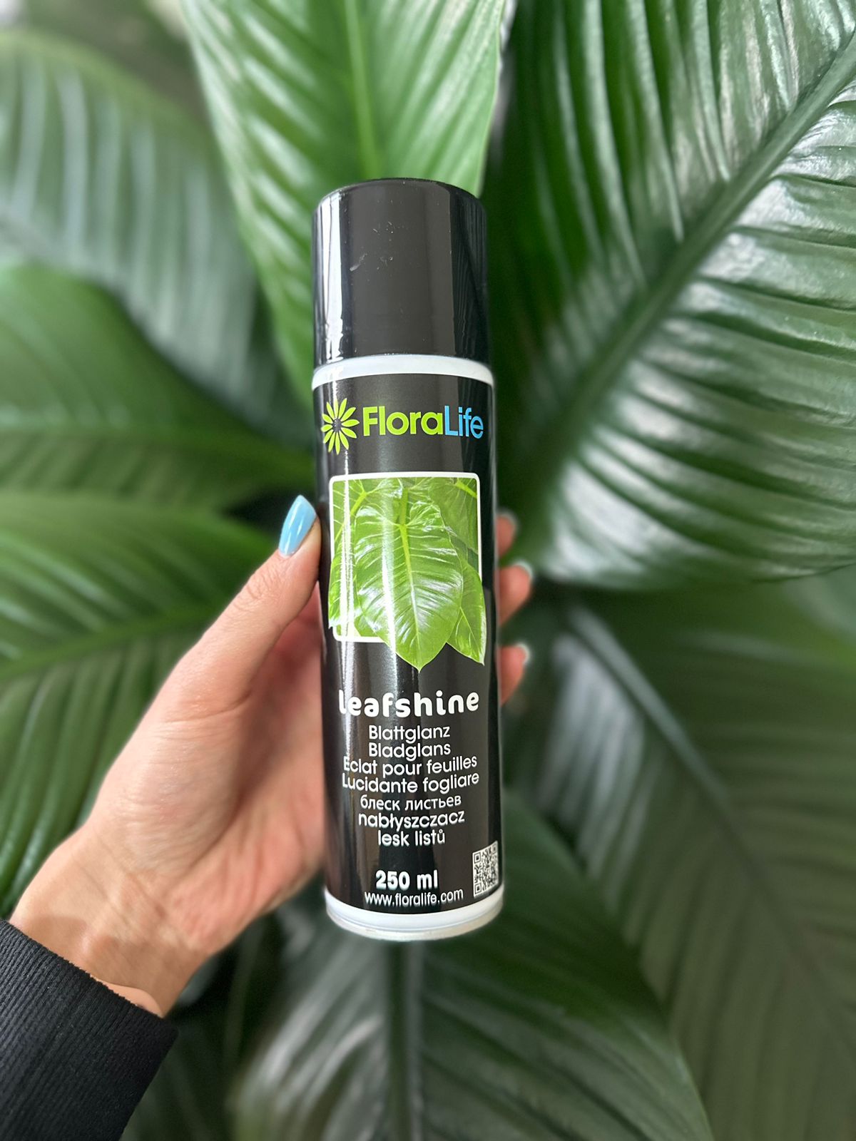 Leaf Spray (250ml) - Botanical Heaven