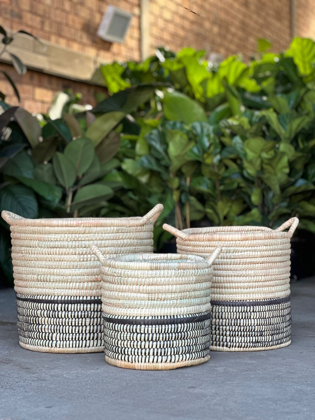 Premium Black Base XL Basket - Botanical Heaven