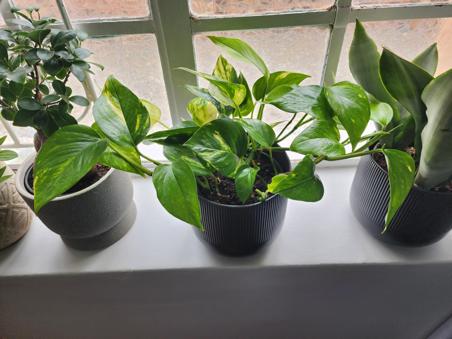 Image #1 from Marjeanne Fourie