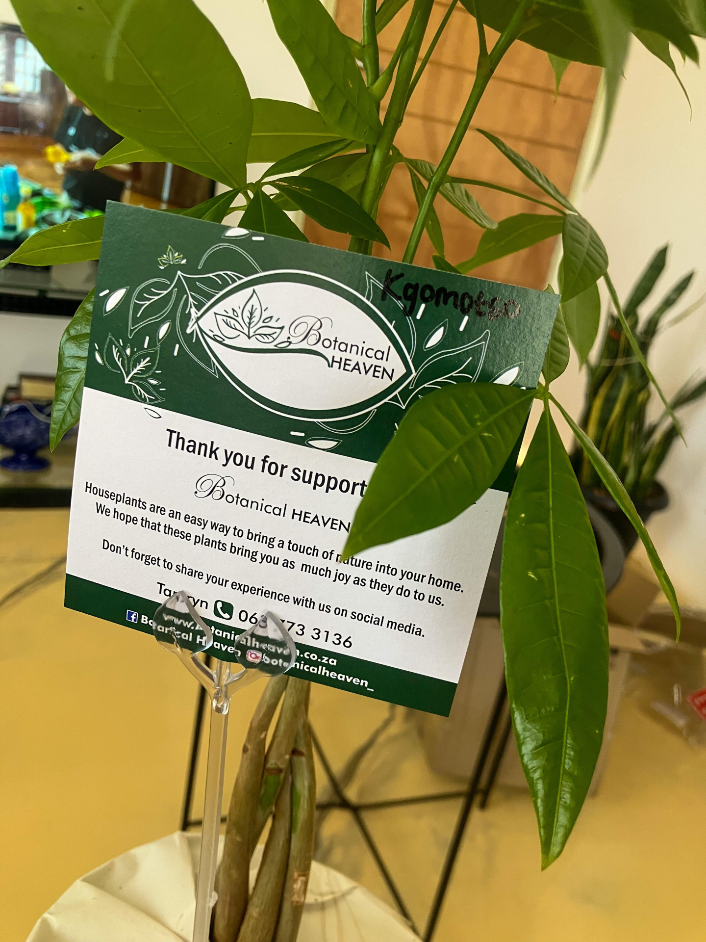 Image #1 from Kgomotso Nicole Lechelele