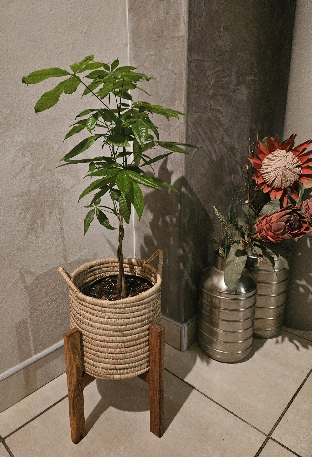 Image #1 from Elsje Strydom