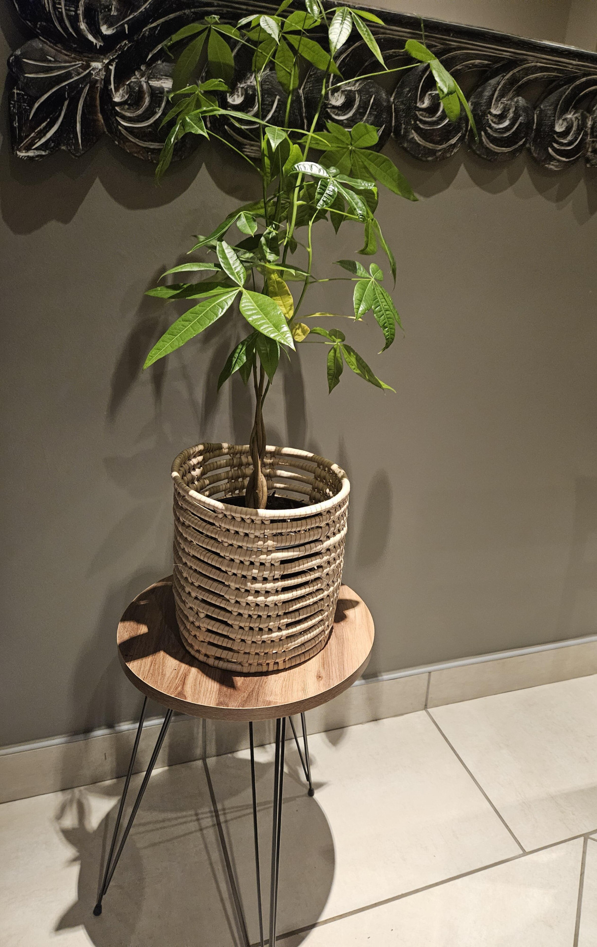 Image #2 from Elsje Strydom