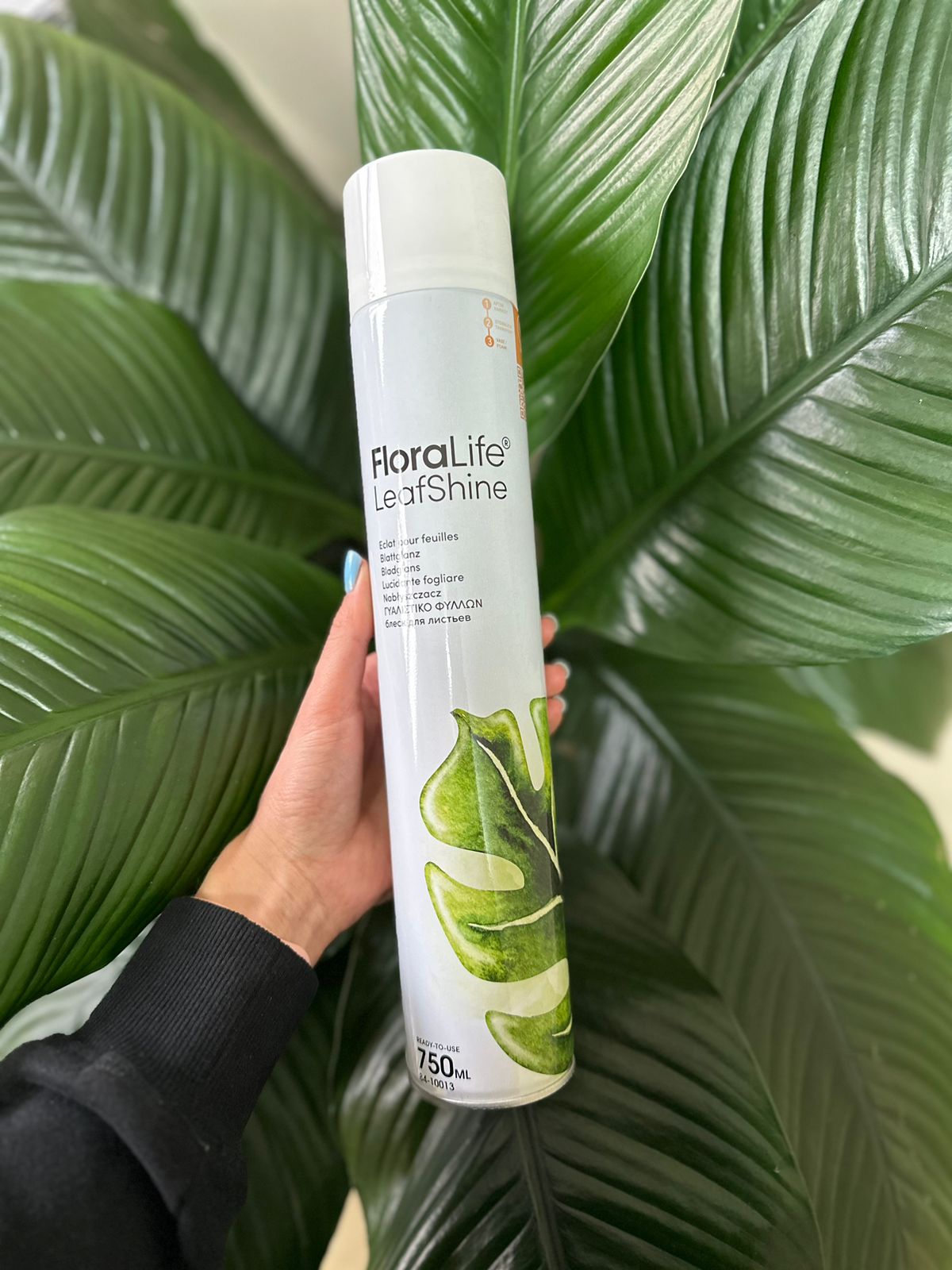 Leaf Spray (750ml) - Botanical Heaven