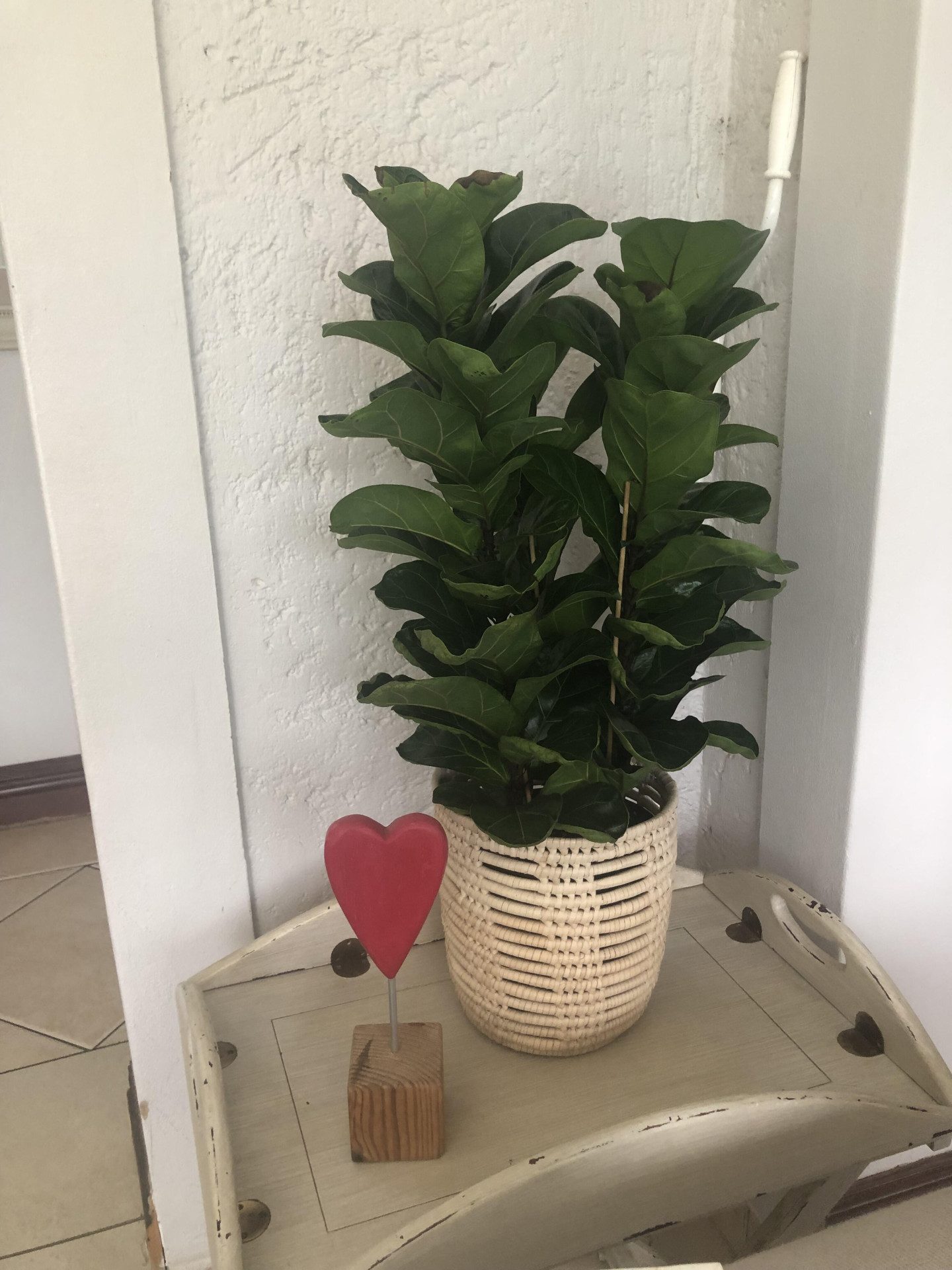 Image #1 from Marlene Alexander