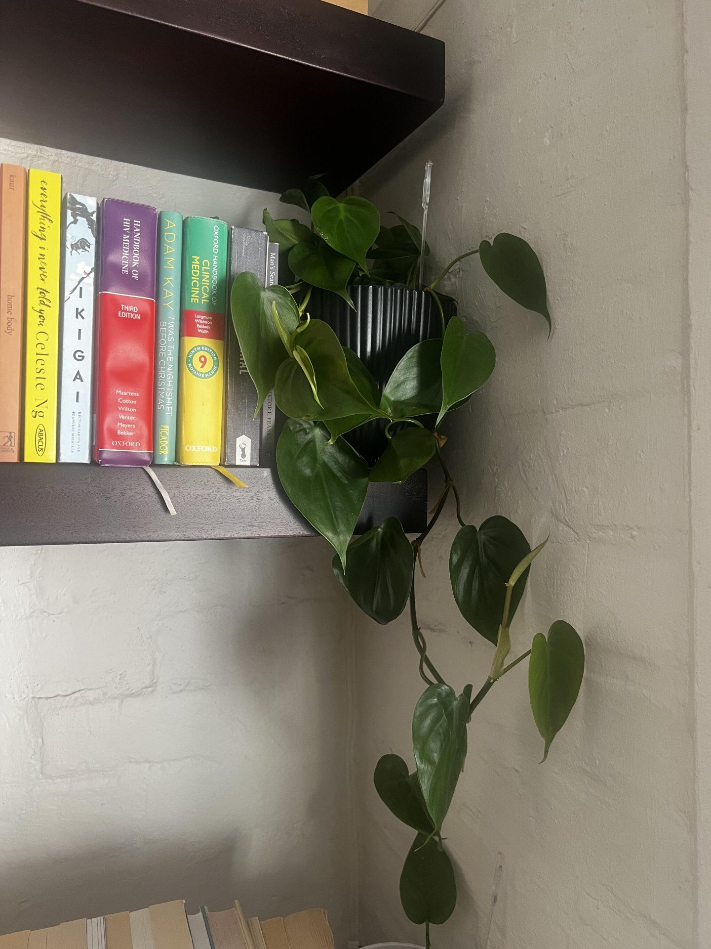 Image #1 from Bobo Mthombeni