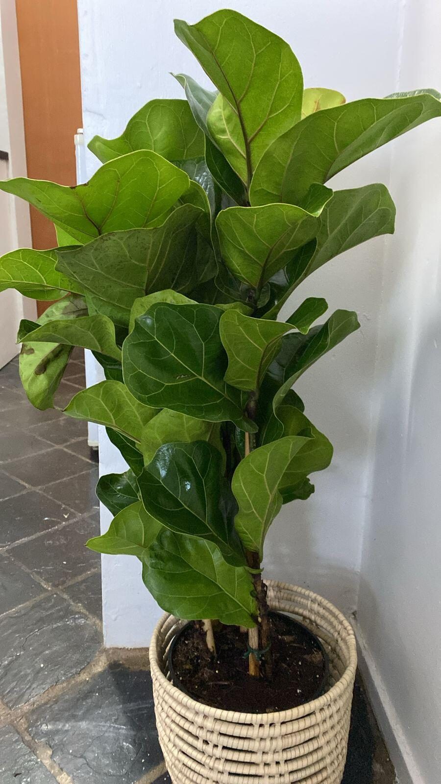 Image #1 from Jorja Parker