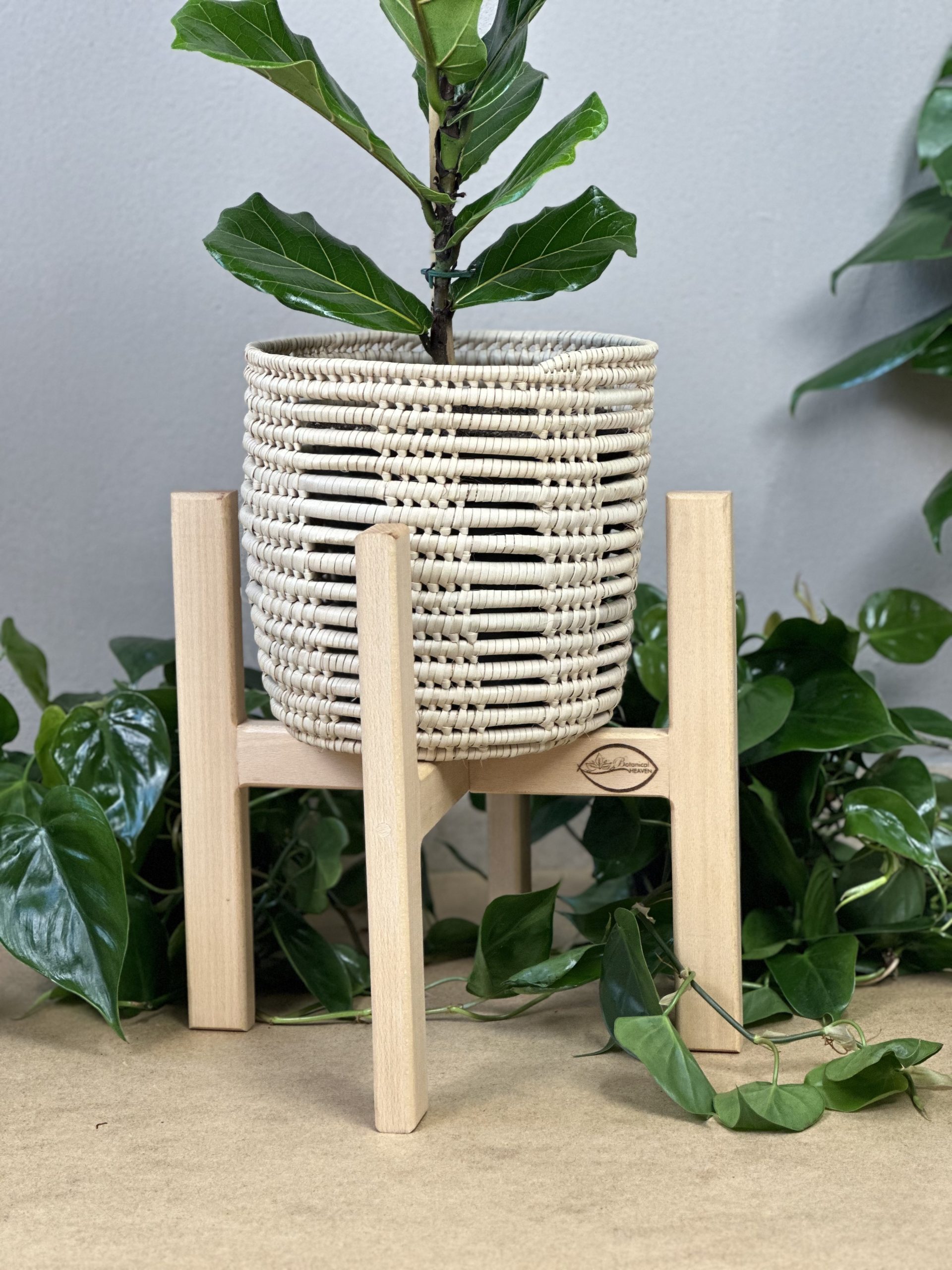 Medium Plant Stand- Beech - Botanical Heaven