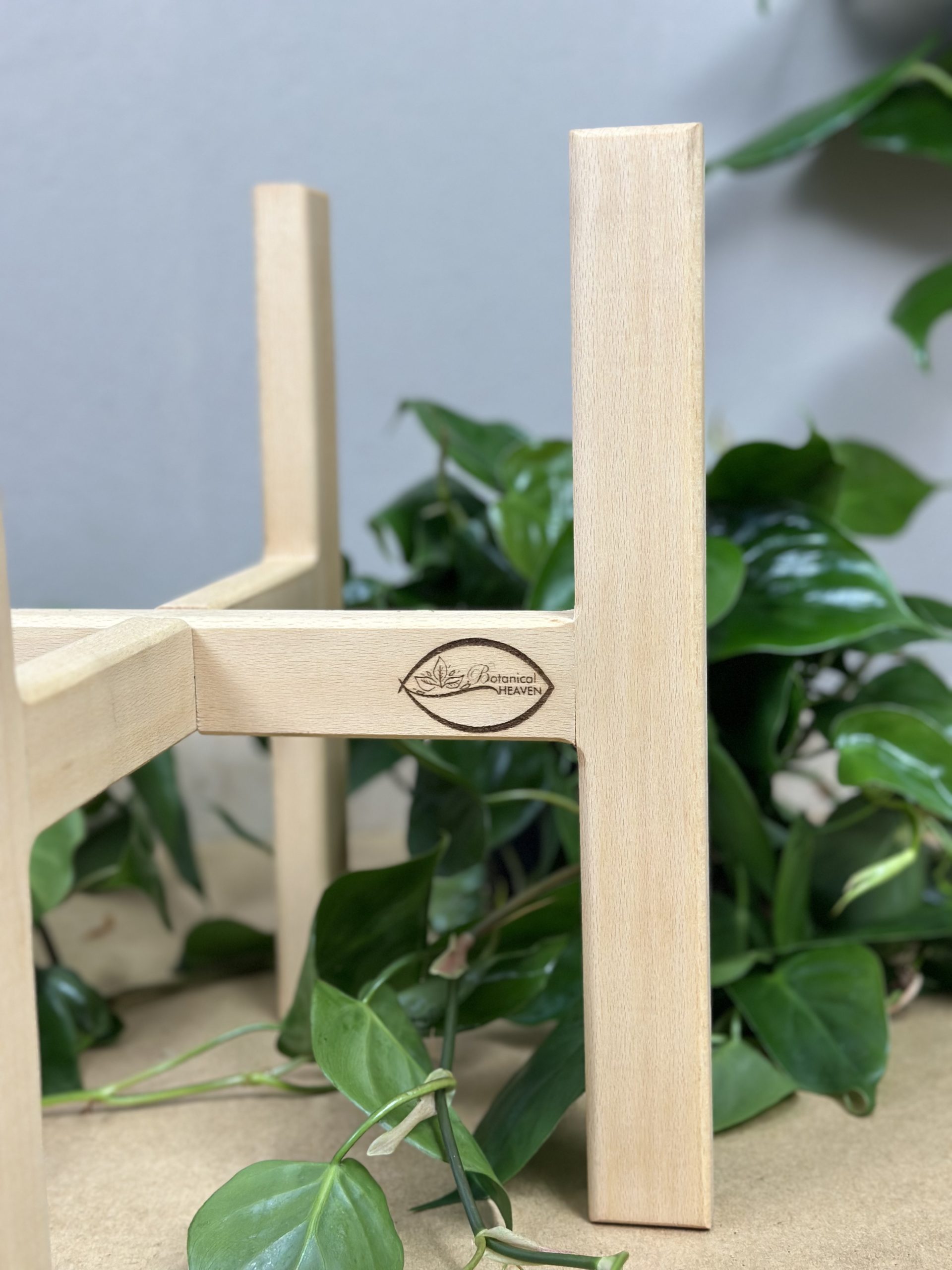 Medium Plant Stand- Beech - Botanical Heaven