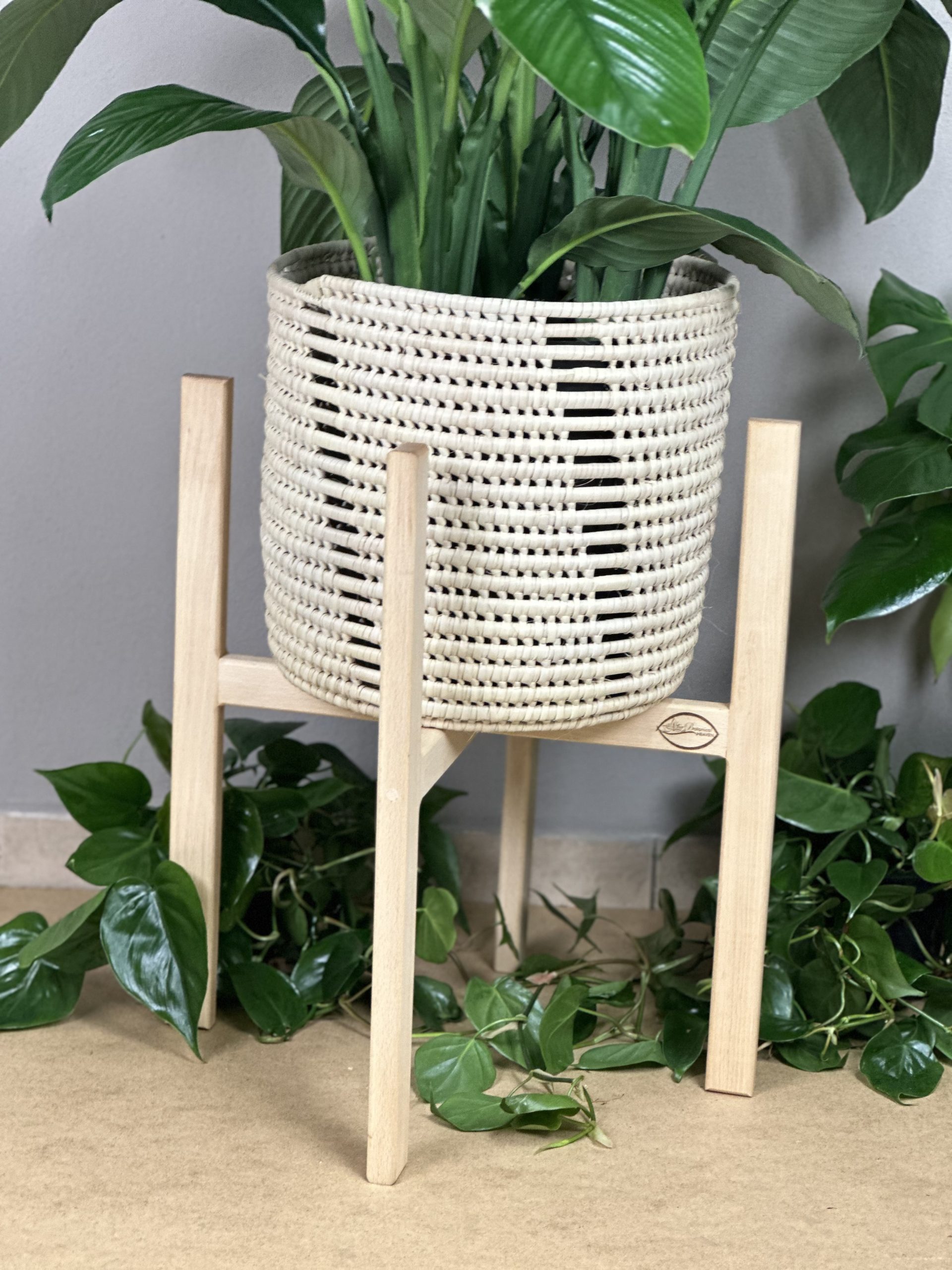 XL Plant Stand- Beech - Botanical Heaven