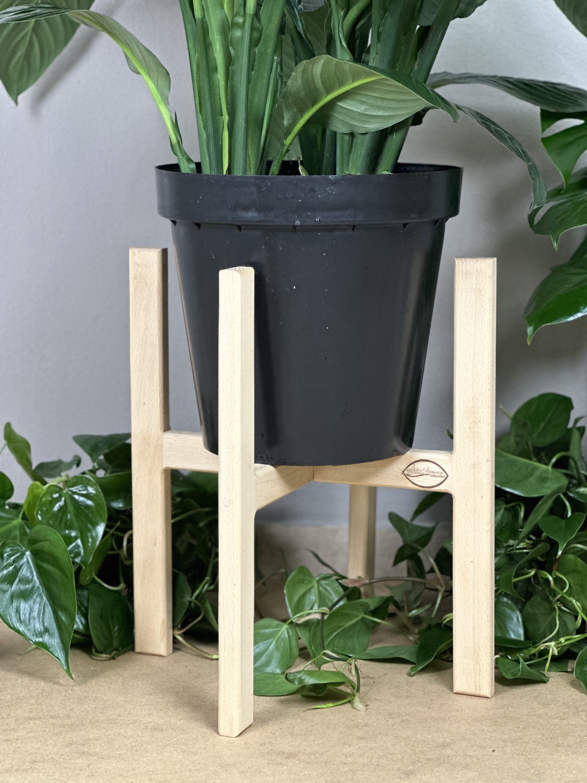 Large Plant Stand- Beech - Botanical Heaven