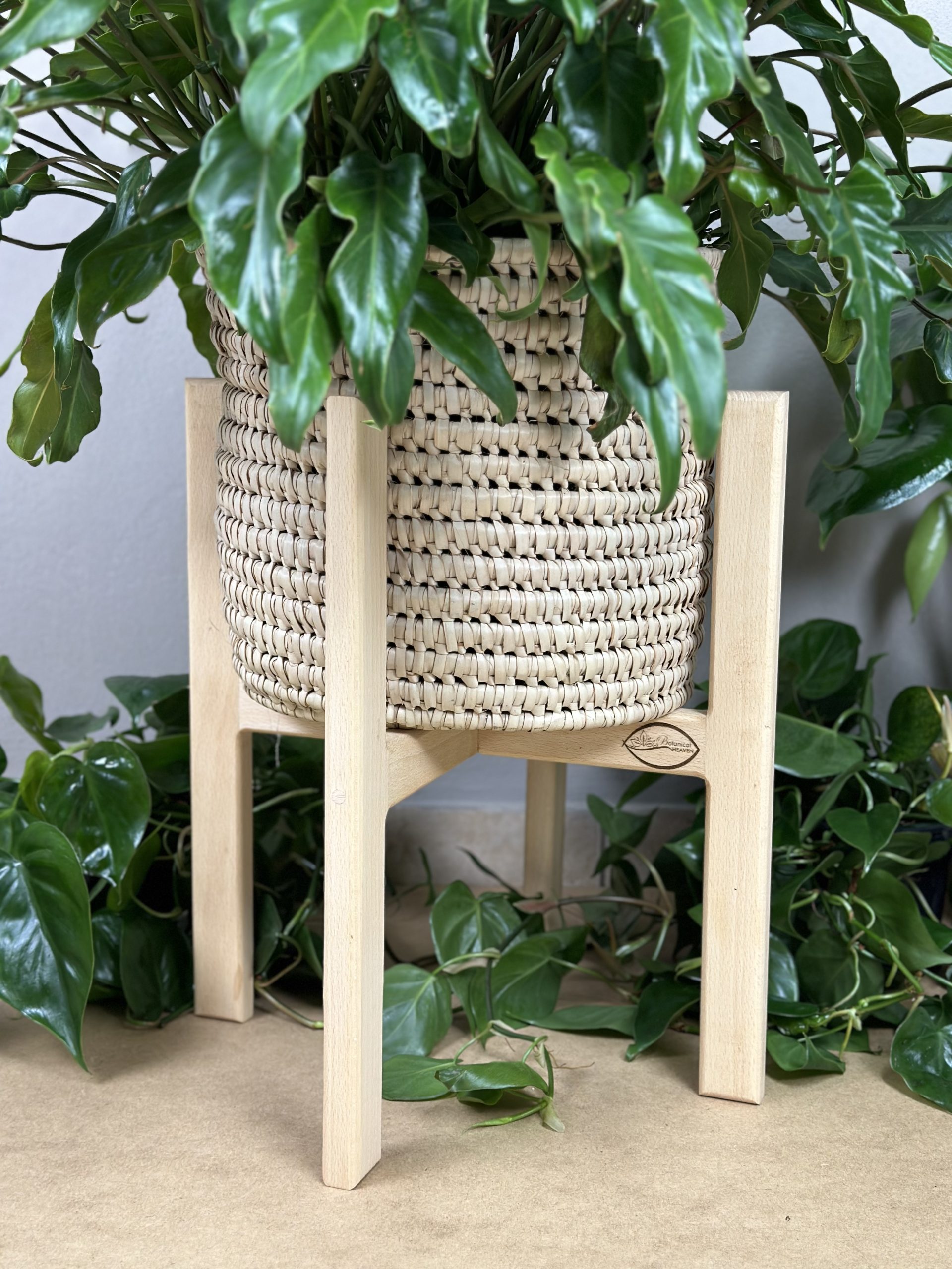 Large Plant Stand- Beech - Botanical Heaven