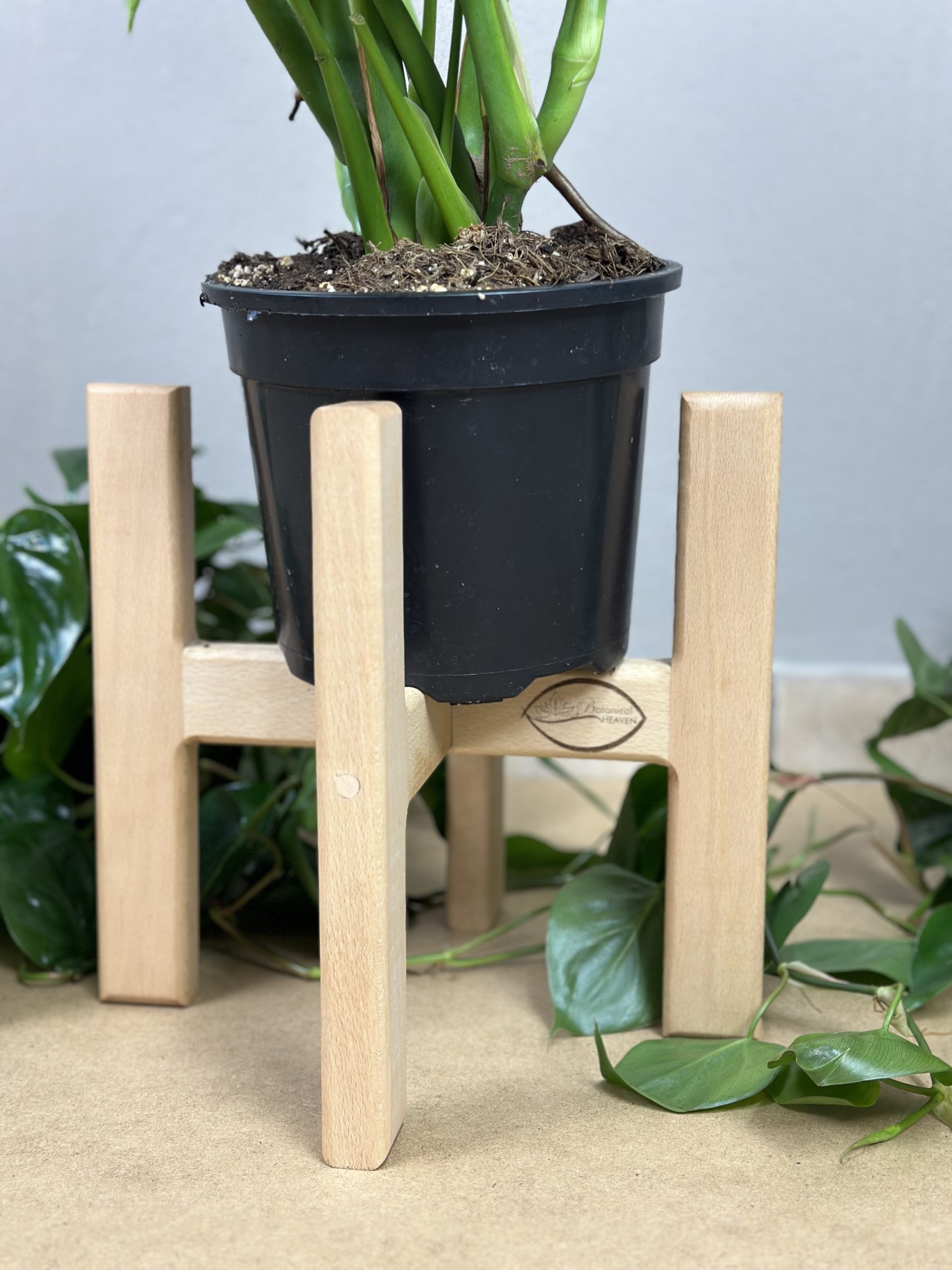 Small Plant Stand- Beech - Botanical Heaven