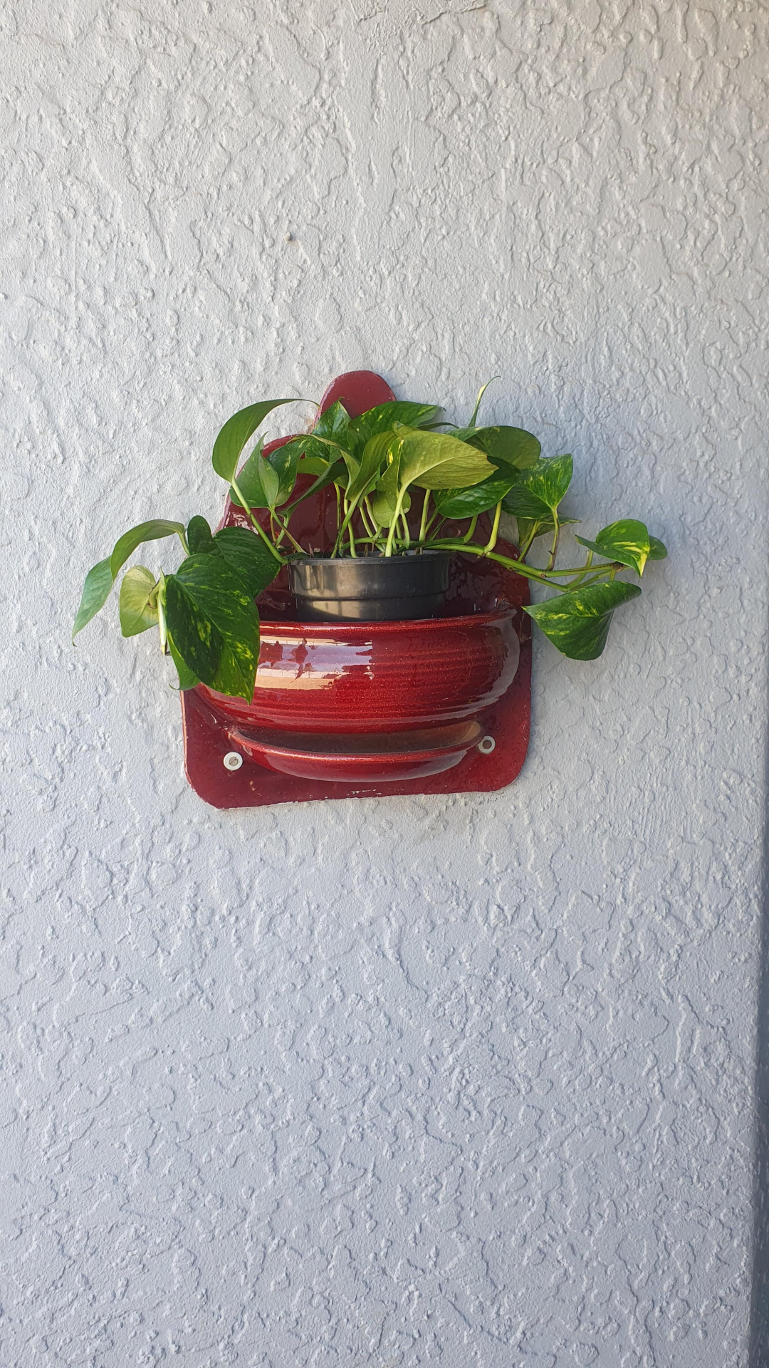 Image #1 from Wisani Matwalana