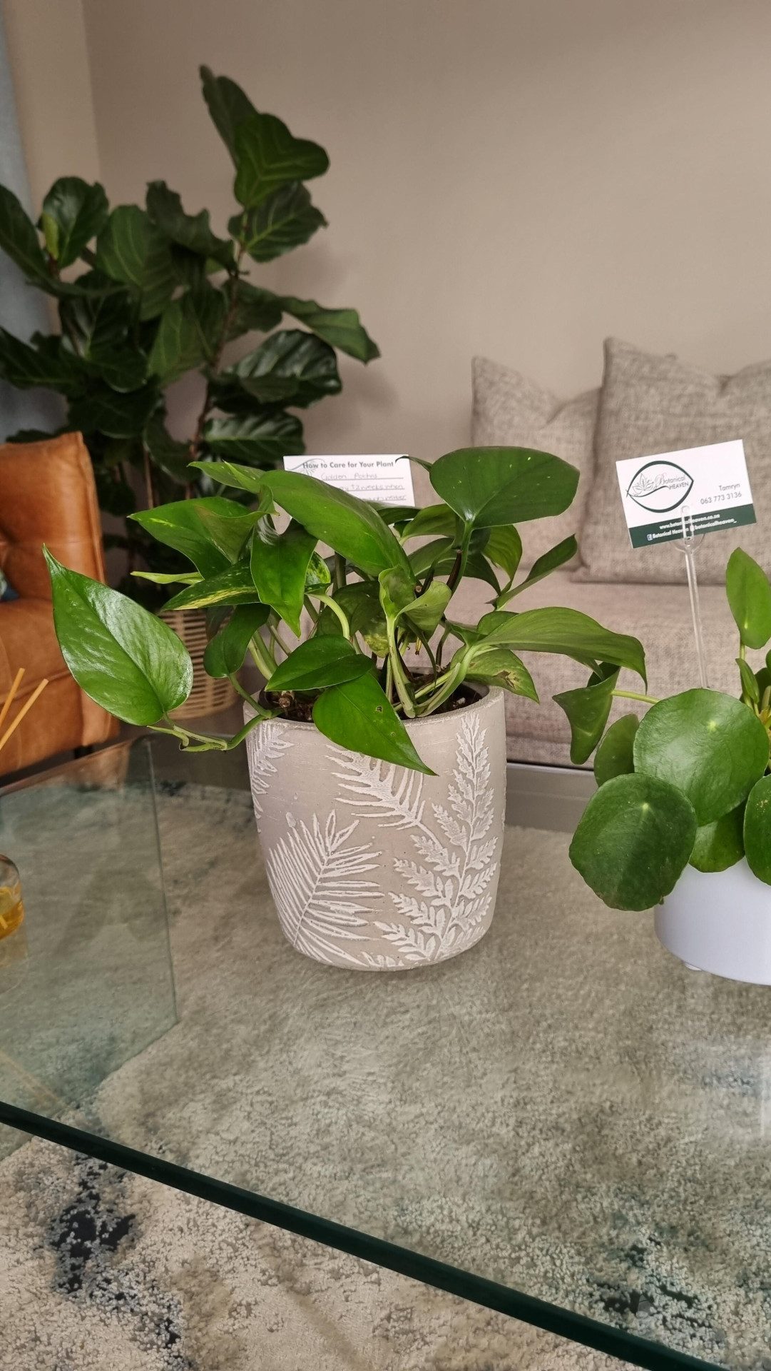 Image #1 from Thandi Mc King