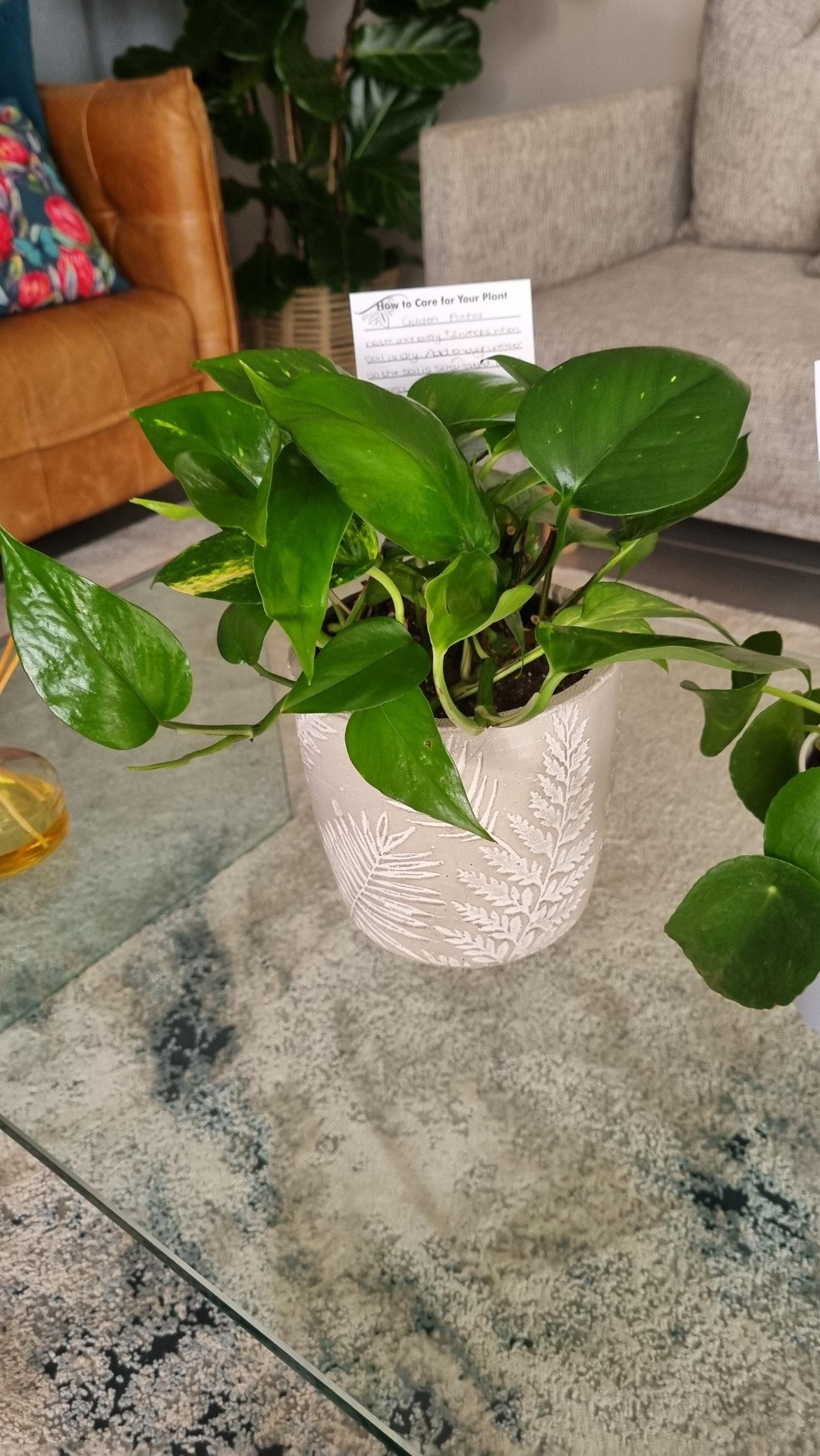 Image #2 from Thandi Mc King