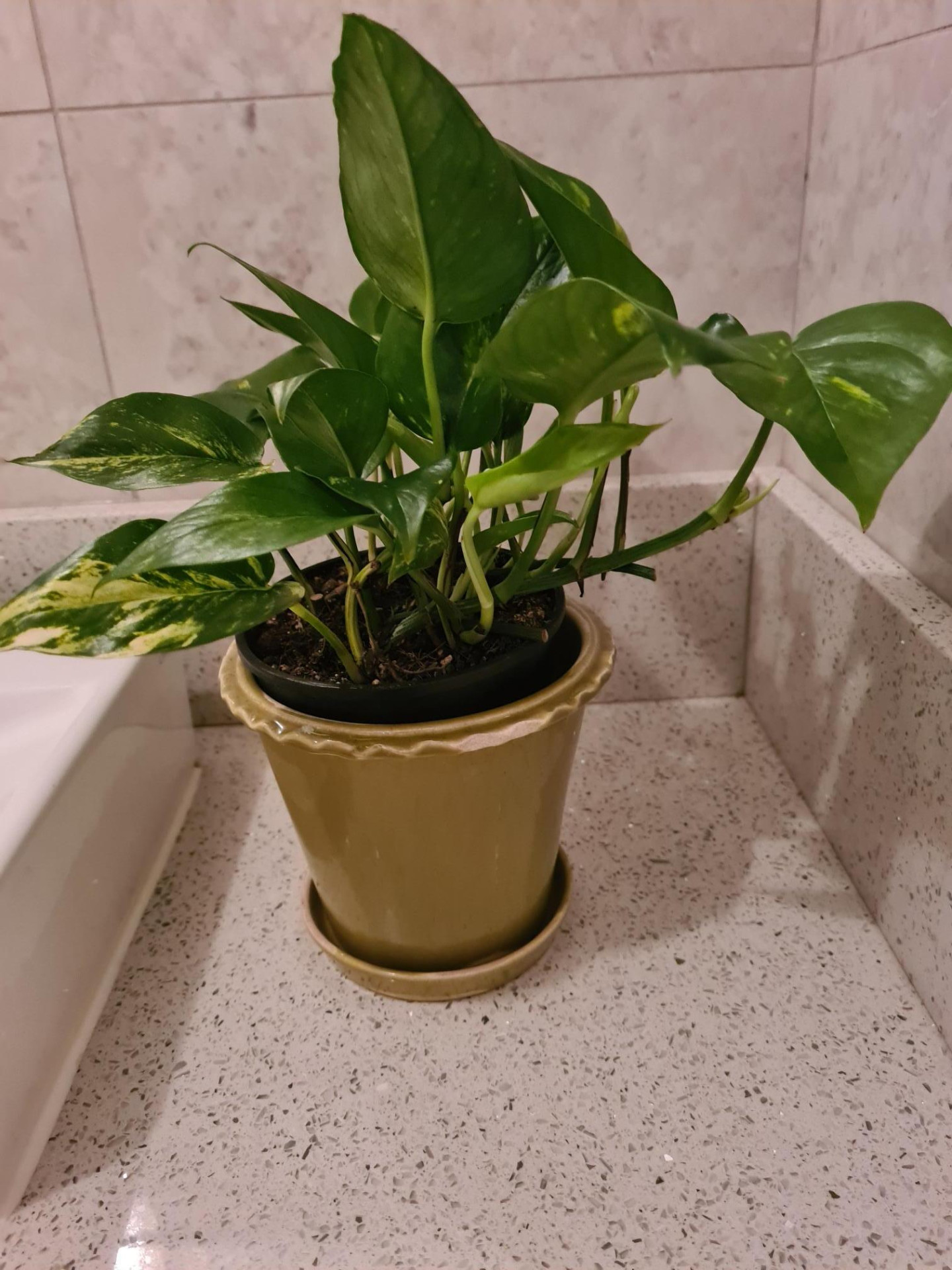 Image #1 from Anisa Ussuph