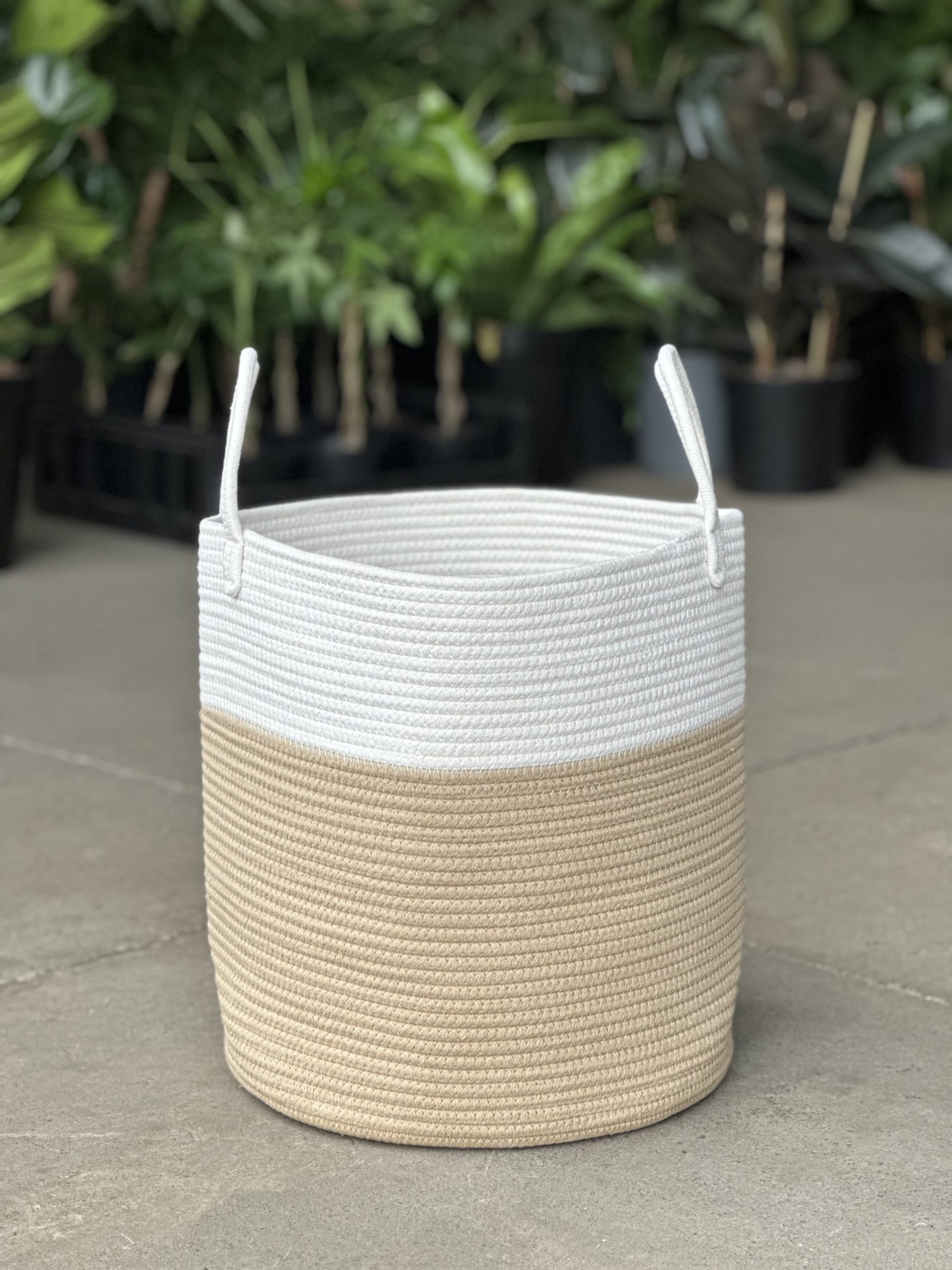 XL Natural Cotton Rope Basket – EH - Botanical Heaven