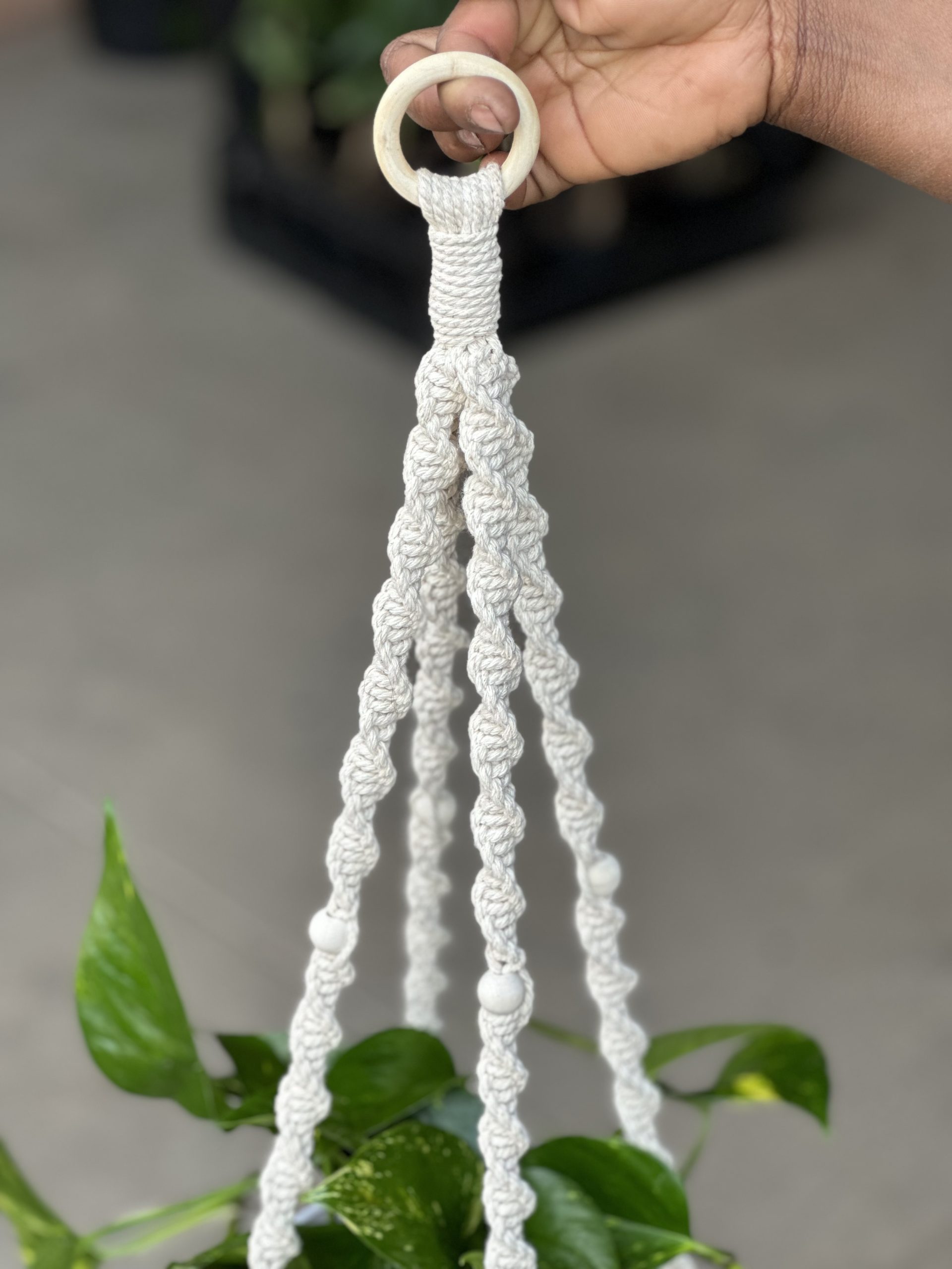 Macrame Plant Hanger 4 - Botanical Heaven