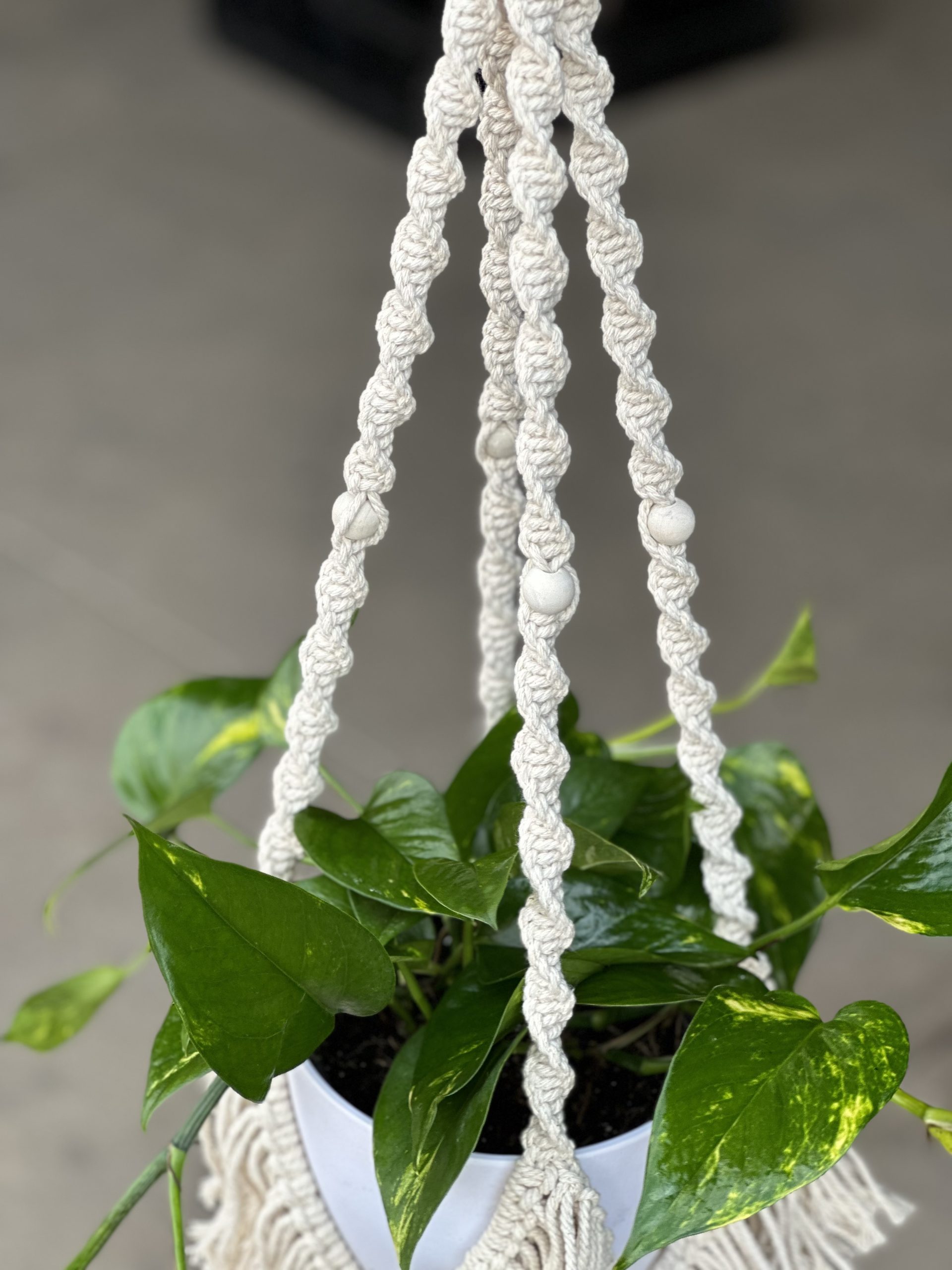 Macrame Plant Hanger 4 - Botanical Heaven