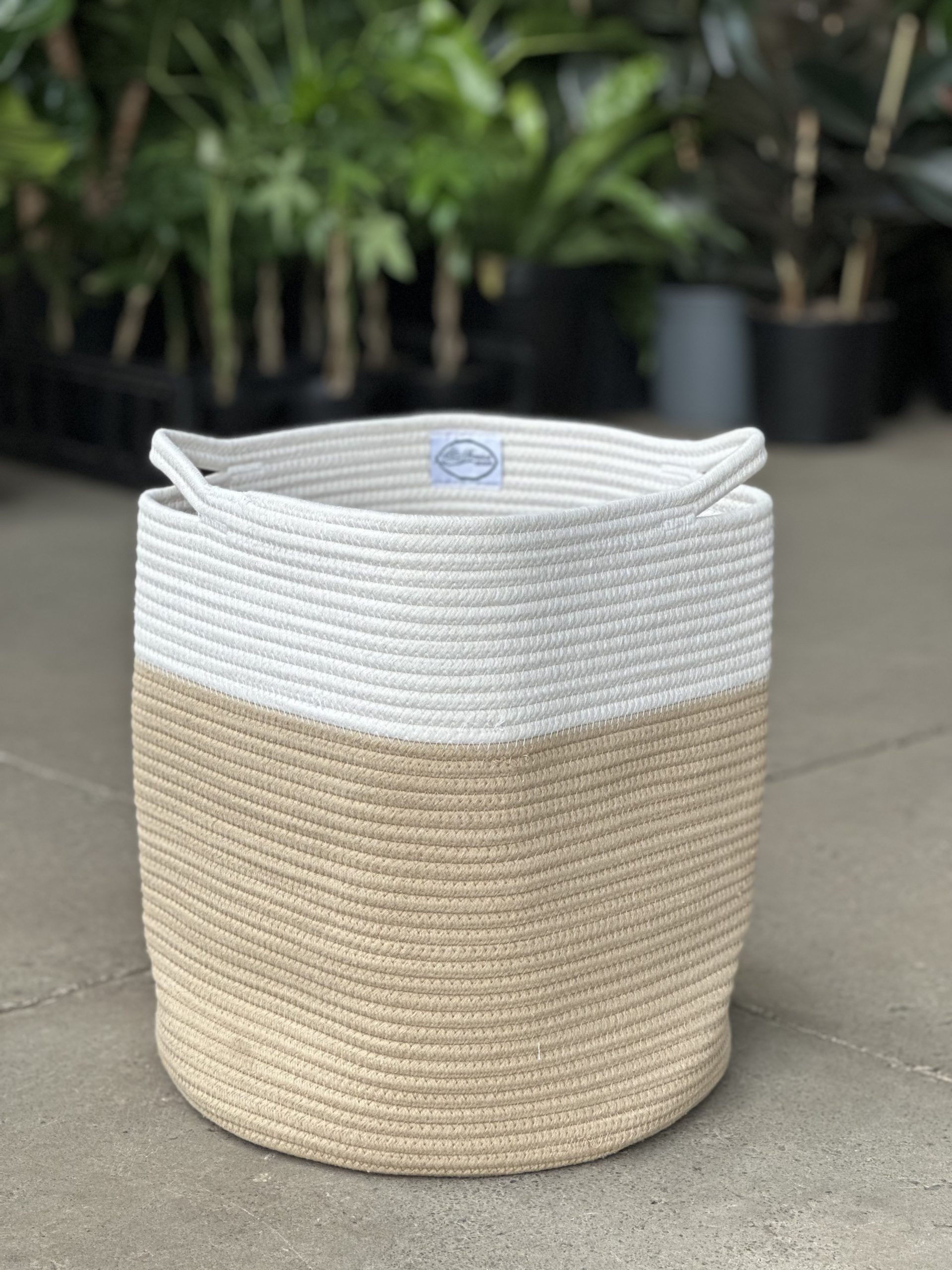 XL Natural Cotton Rope Basket – HH - Botanical Heaven