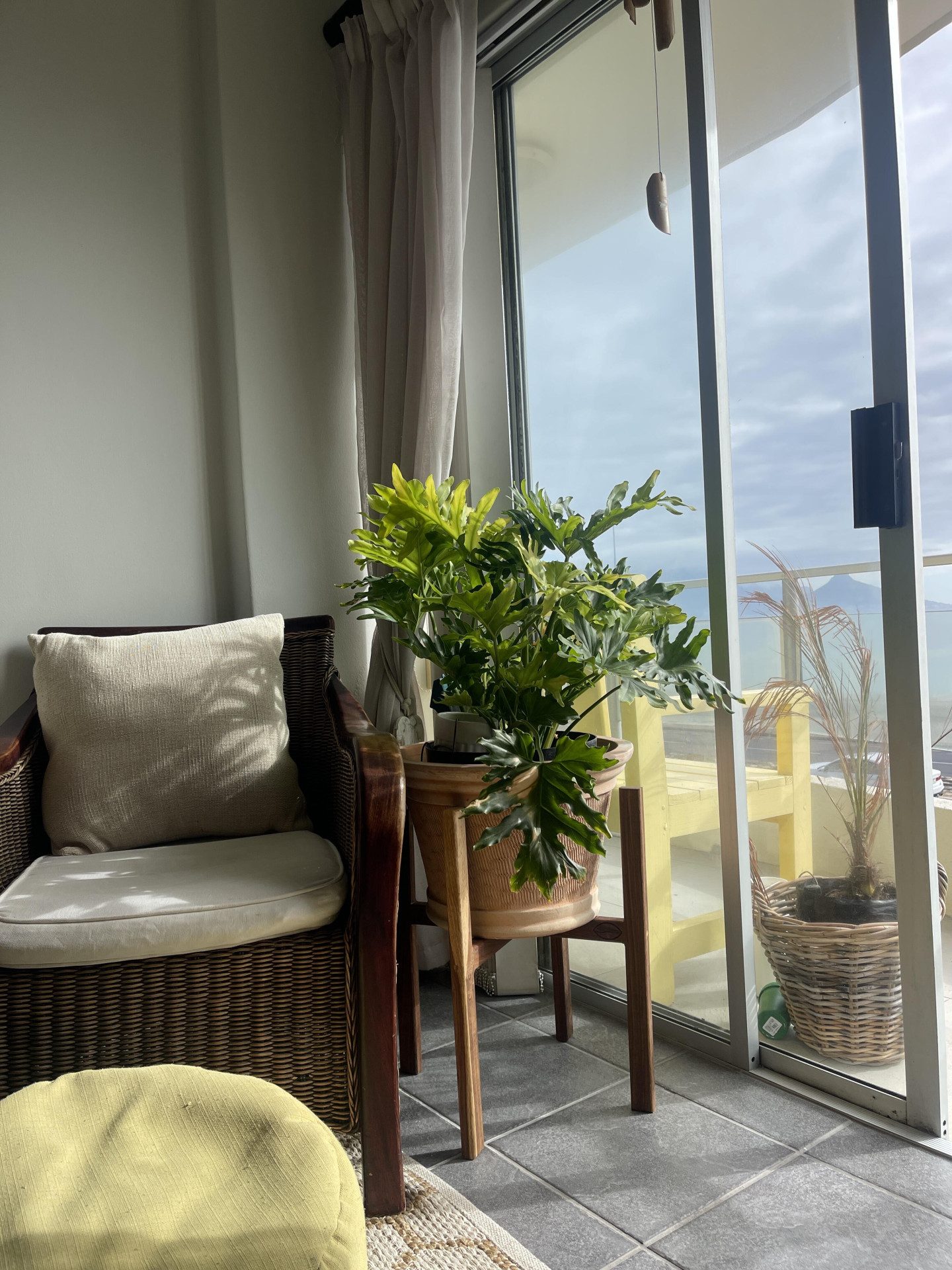 Image #1 from Liané Kritzinger