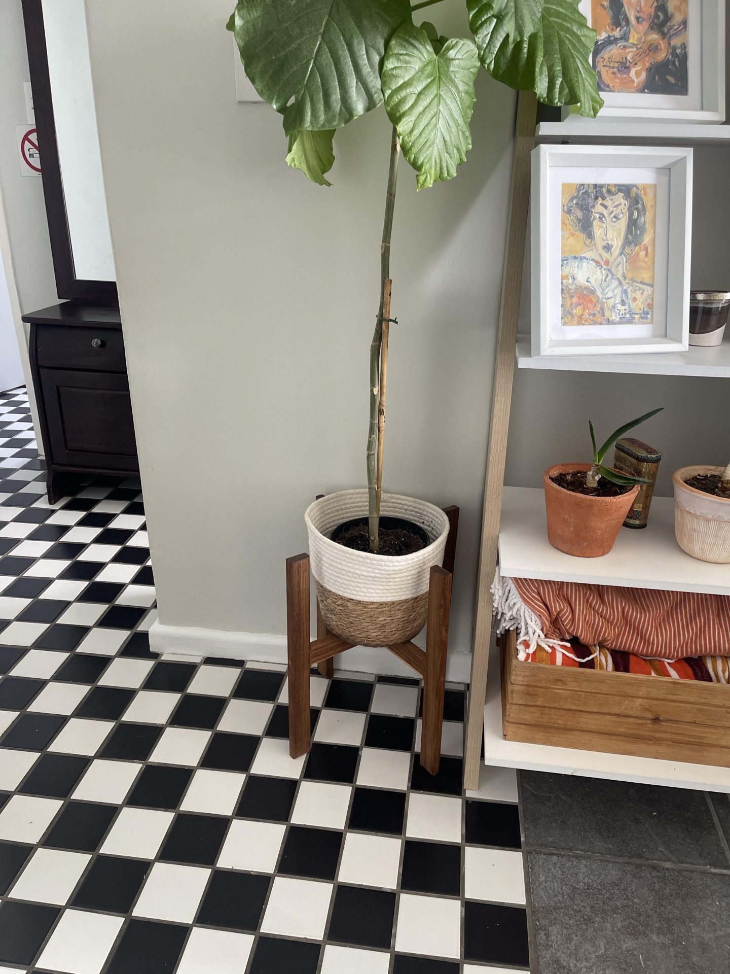 Image #2 from Liané Kritzinger