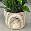 Large Cast Iron Plant With Basket - Image 4