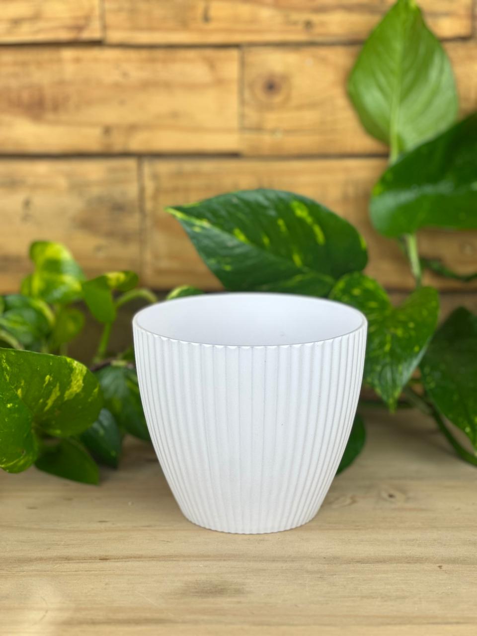 XS Luna Pot – White - Botanical Heaven