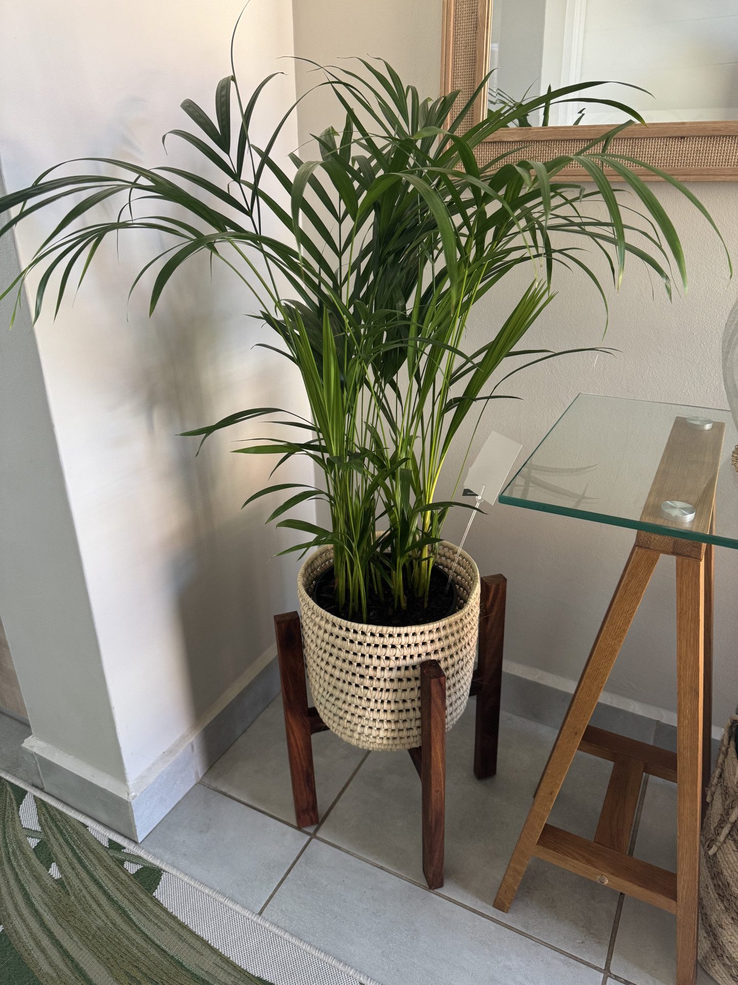 Image #1 from Monet Blofield