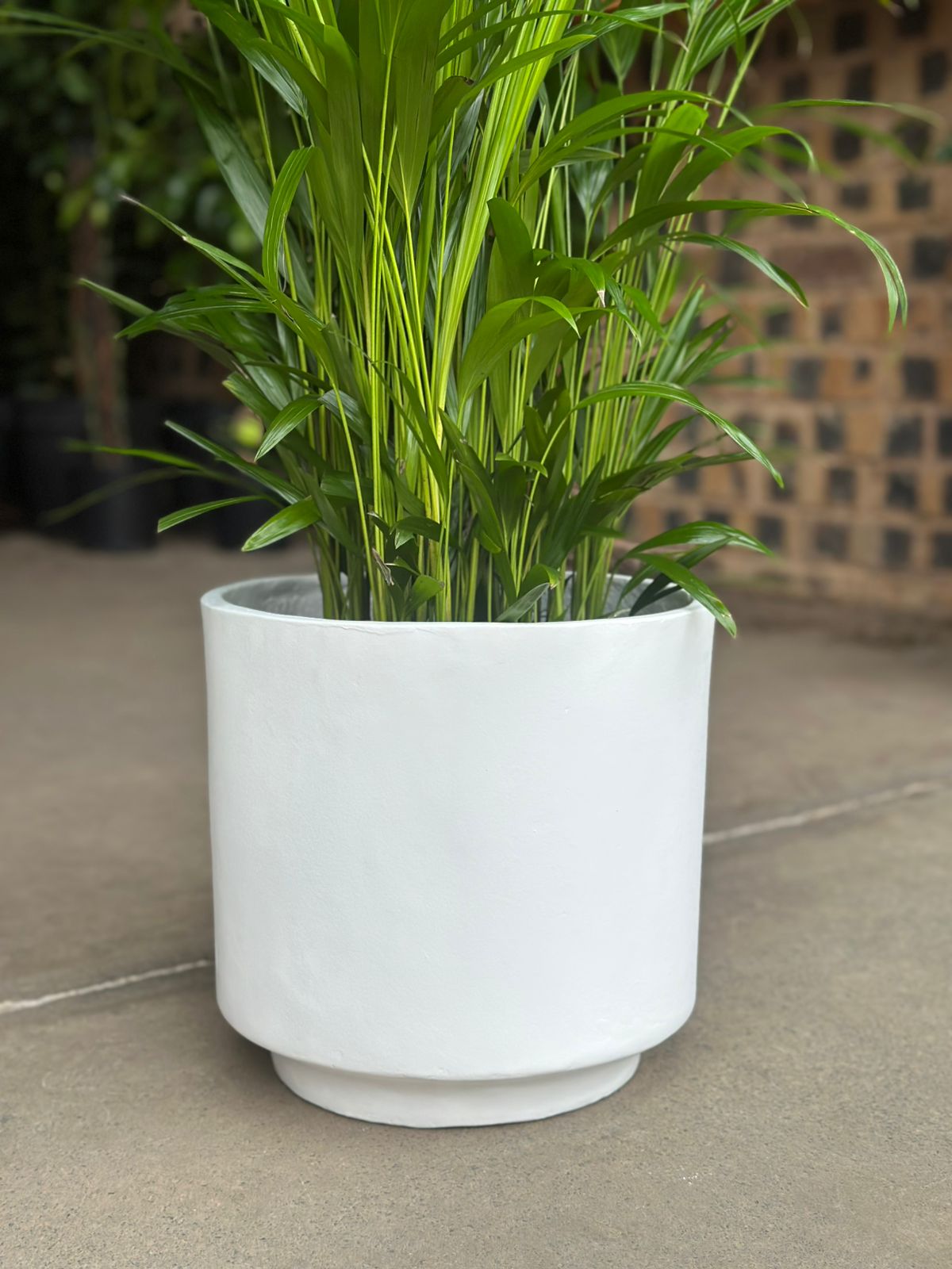 Large Decorative Pot Style 2 – White - Botanical Heaven